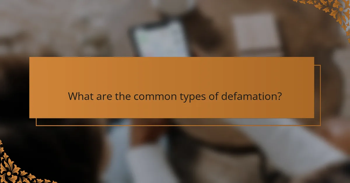 What are the common types of defamation?