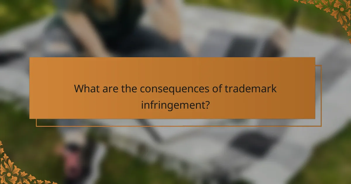 What are the consequences of trademark infringement?