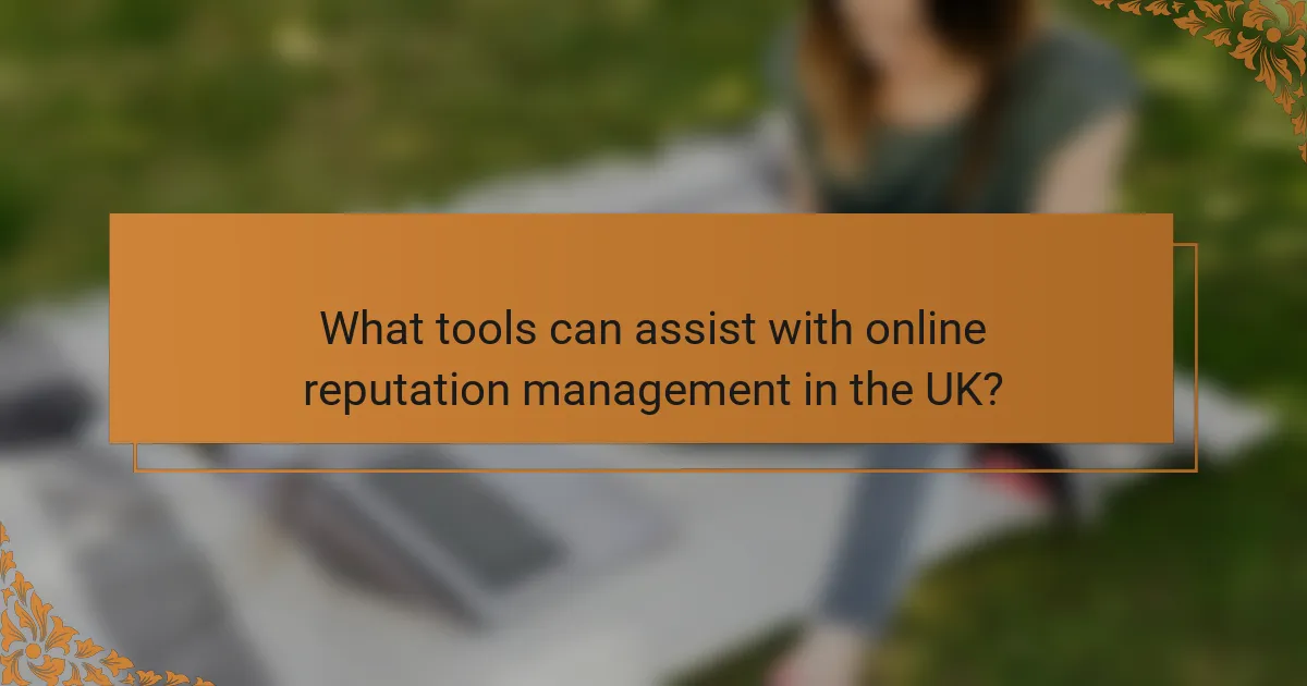 What tools can assist with online reputation management in the UK?